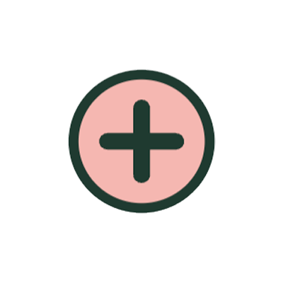 Switch Plus icon
