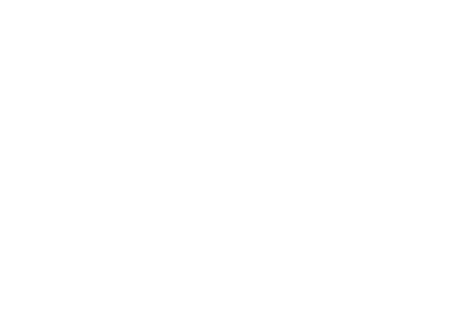 logo-wit